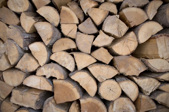 duża ilość drewna opałowego